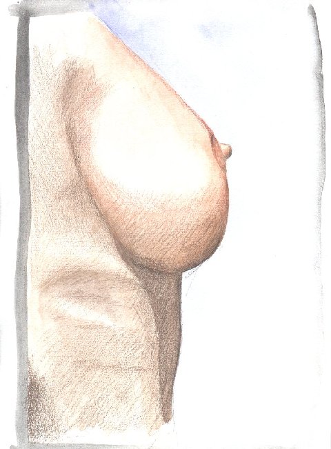 draw4.jpg